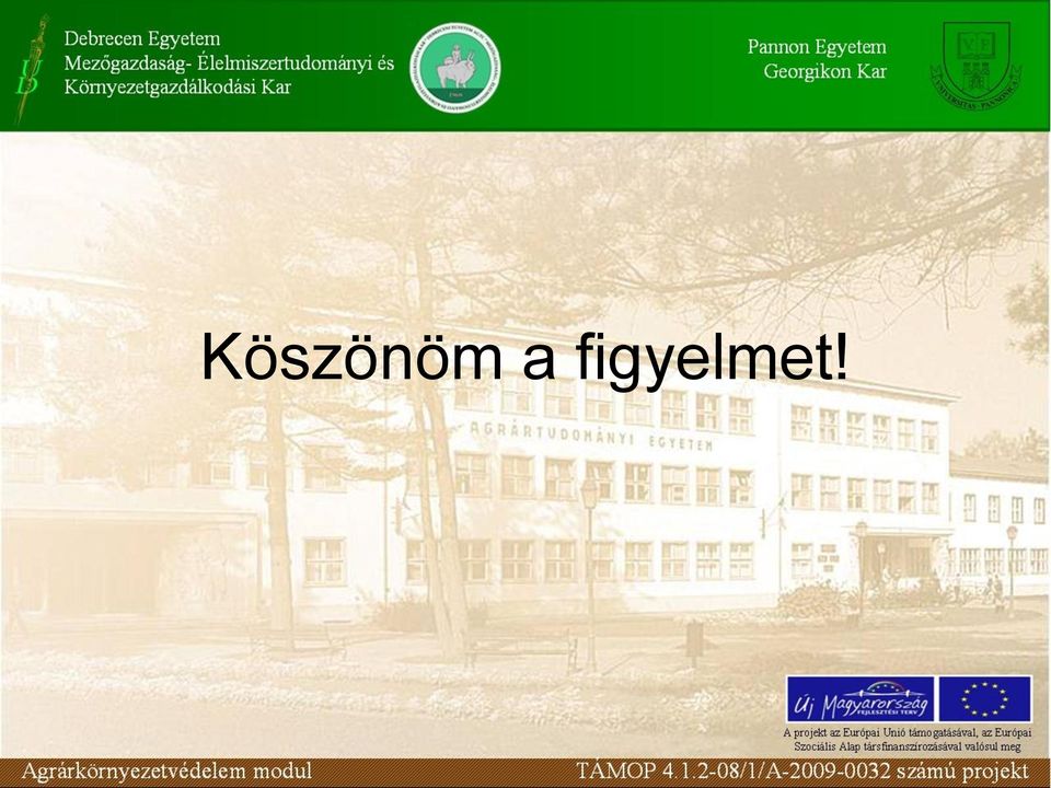 figyelmet!