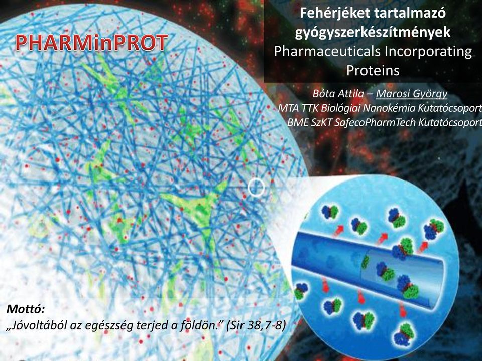 Biológiai Nanokémia Kutatócsoport BME SzKT SafecoPharmTech