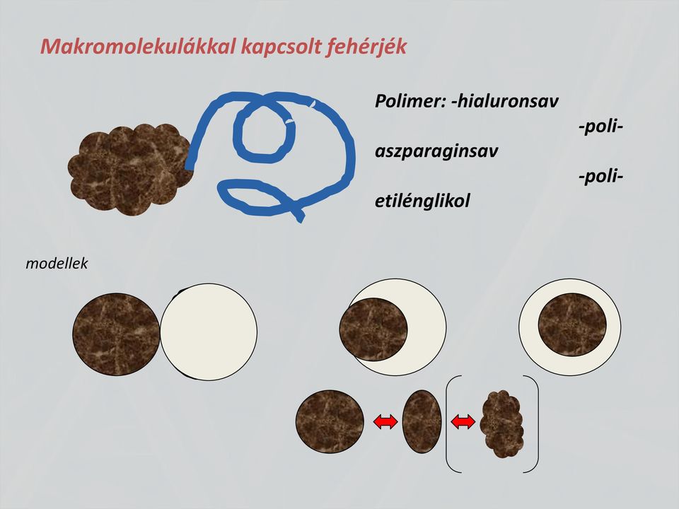 Polimer: -hialuronsav