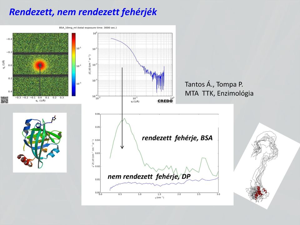 MTA TTK, Enzimológia rendezett
