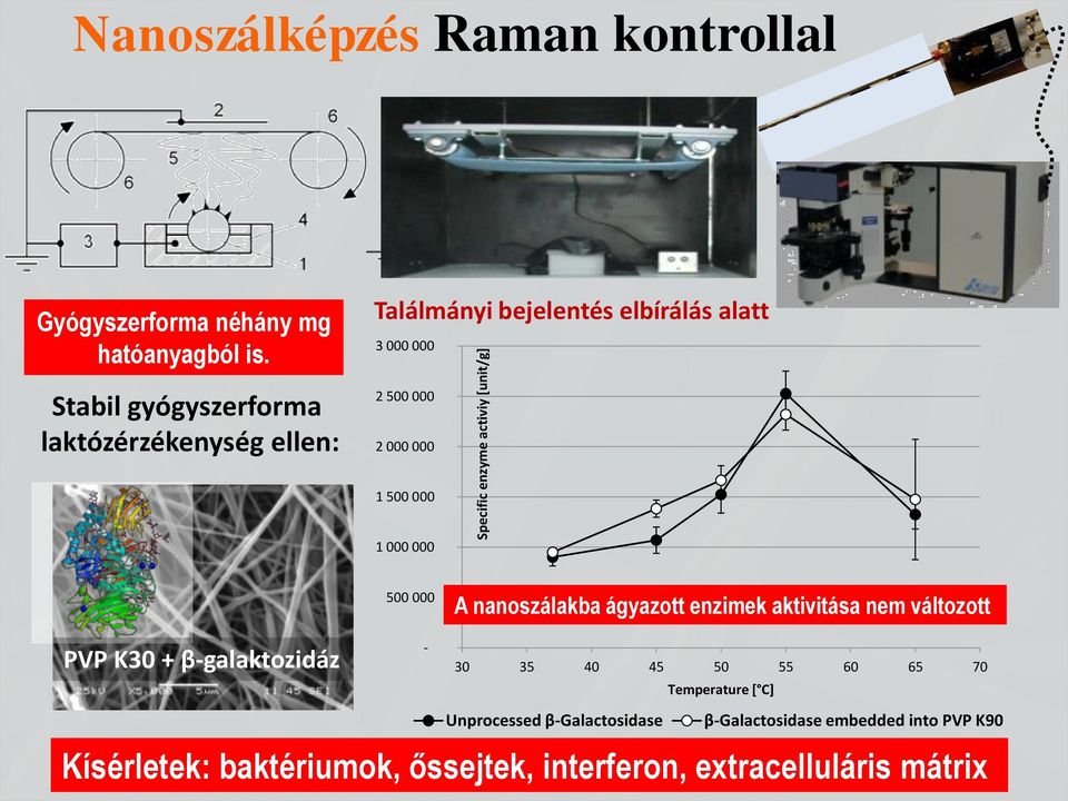 000 000 PVP K30 + β-galaktozidáz 500 000 - A nanoszálakba ágyazott enzimek aktivitása nem változott 30 35 40 45 50 55 60 65 70