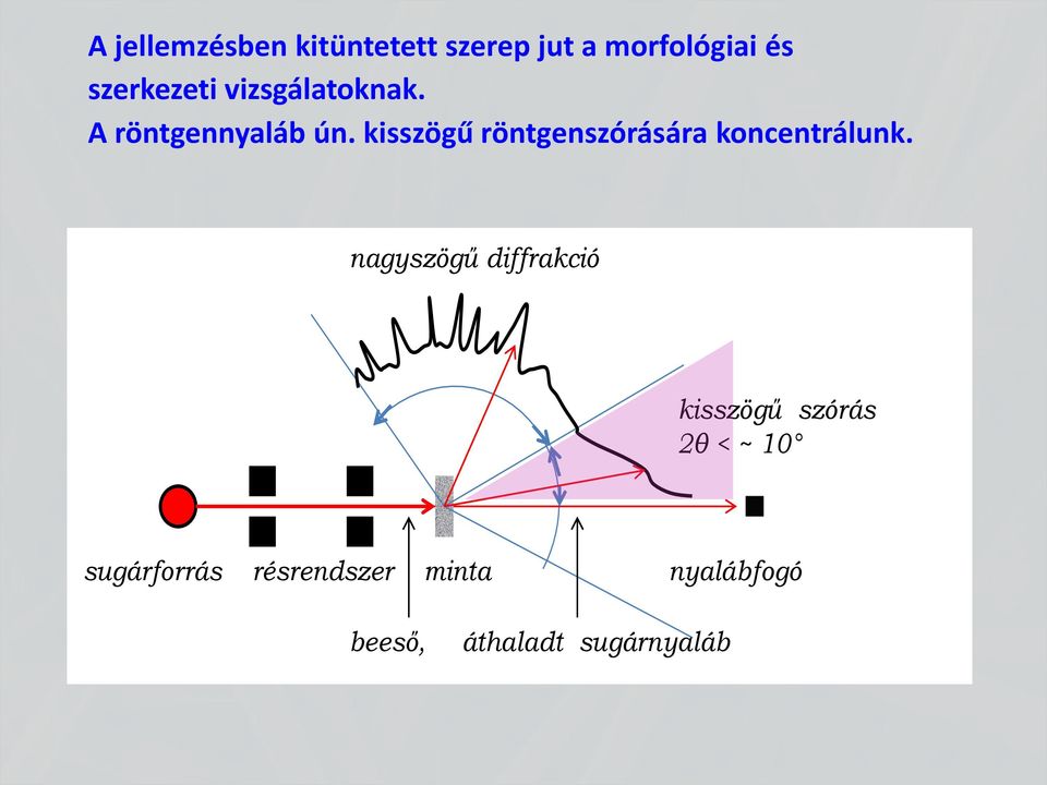 kisszögű röntgenszórására koncentrálunk.