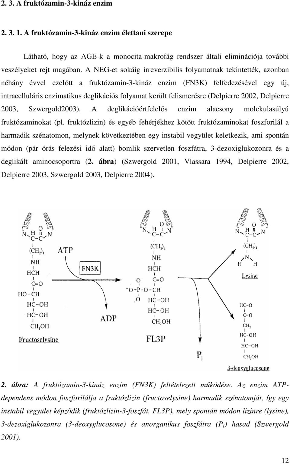felismerésre (Delpierre 2002, Delpierre 2003, Szwergold2003). A deglikációértfelelős enzim alacsony molekulasúlyú fruktózaminokat (pl.