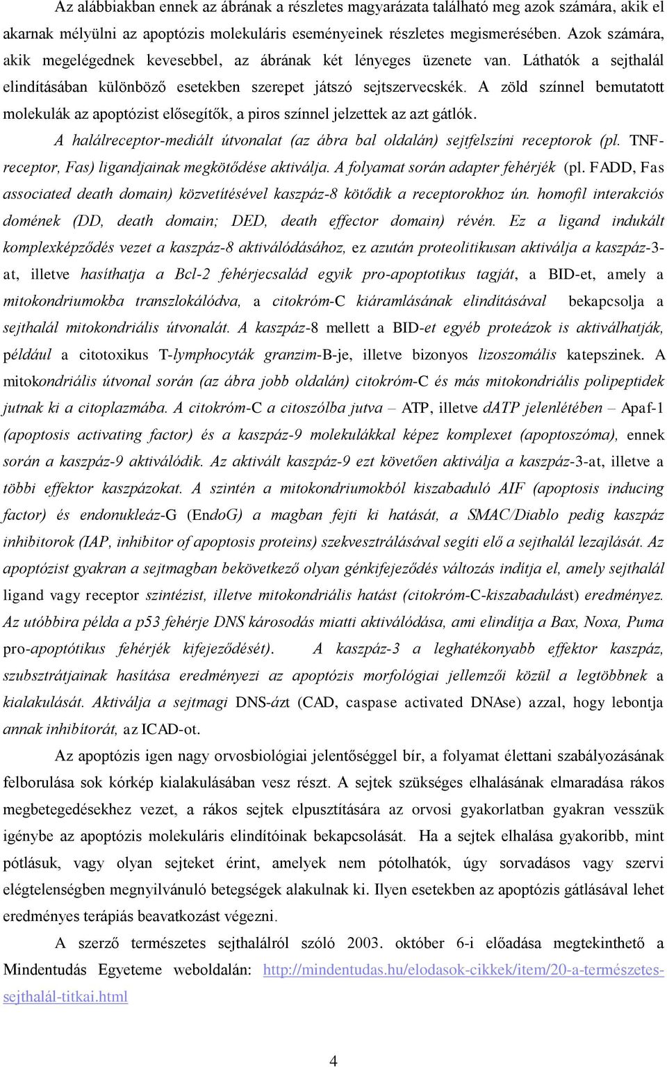 A zöld színnel bemutatott molekulák az apoptózist elősegítők, a piros színnel jelzettek az azt gátlók. A halálreceptor-mediált útvonalat (az ábra bal oldalán) sejtfelszíni receptorok (pl.