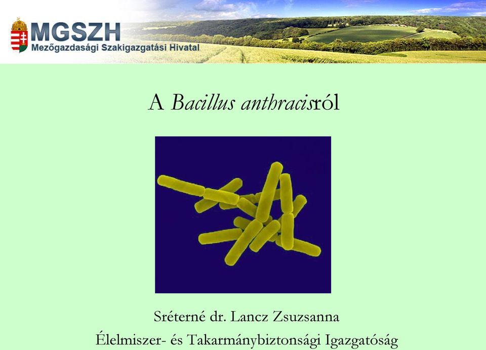 Lancz Zsuzsanna