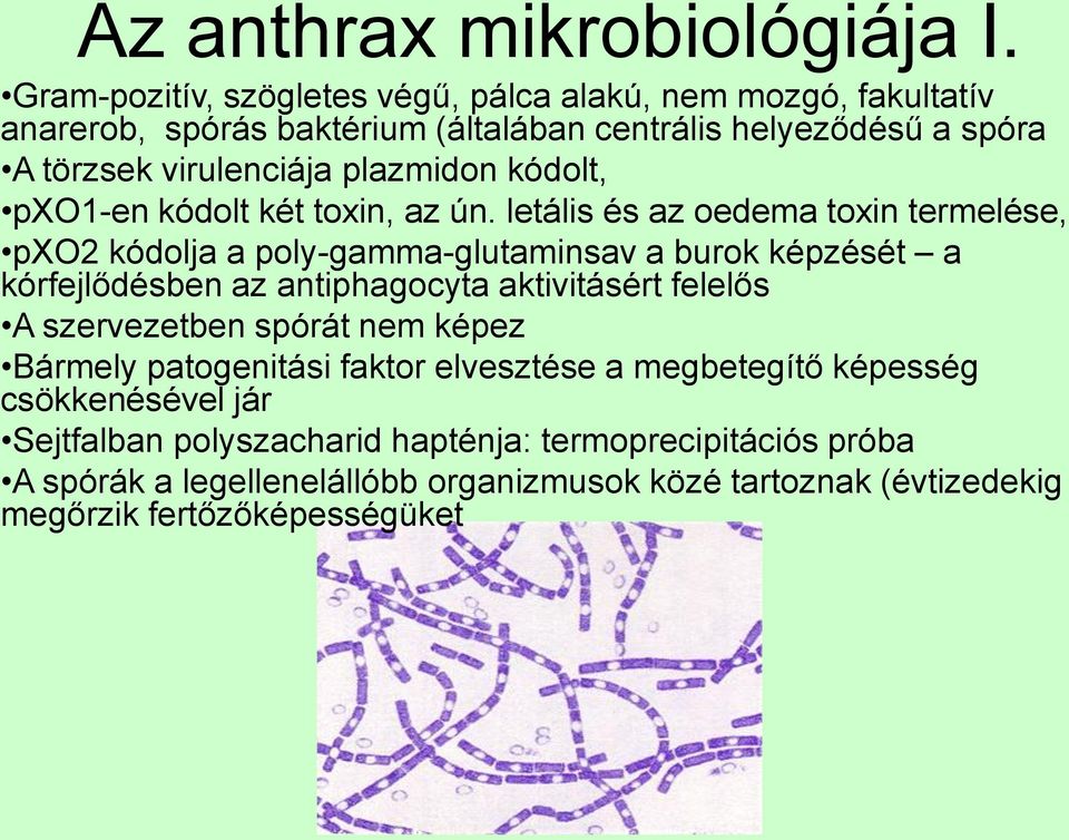 plazmidon kódolt, pxo1-en kódolt két toxin, az ún.