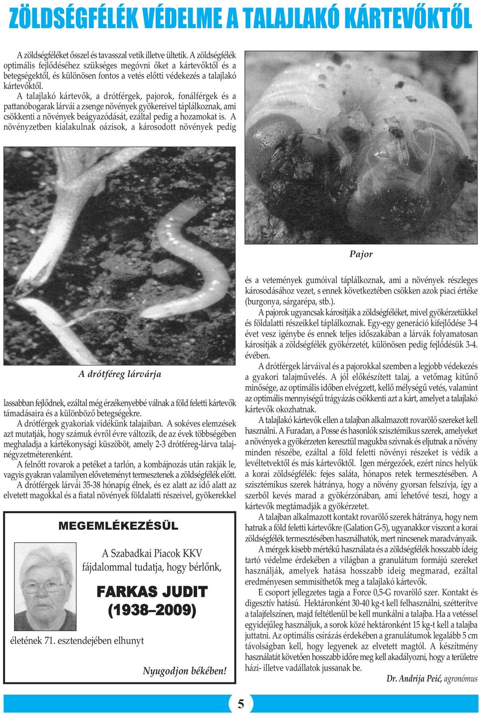 A talajlakó kártevők, a drótférgek, pajorok, fonálférgek és a pattanóbogarak lárvái a zsenge növények gyökereivel táplálkoznak, ami csökkenti a növények beágyazódását, ezáltal pedig a hozamokat is.