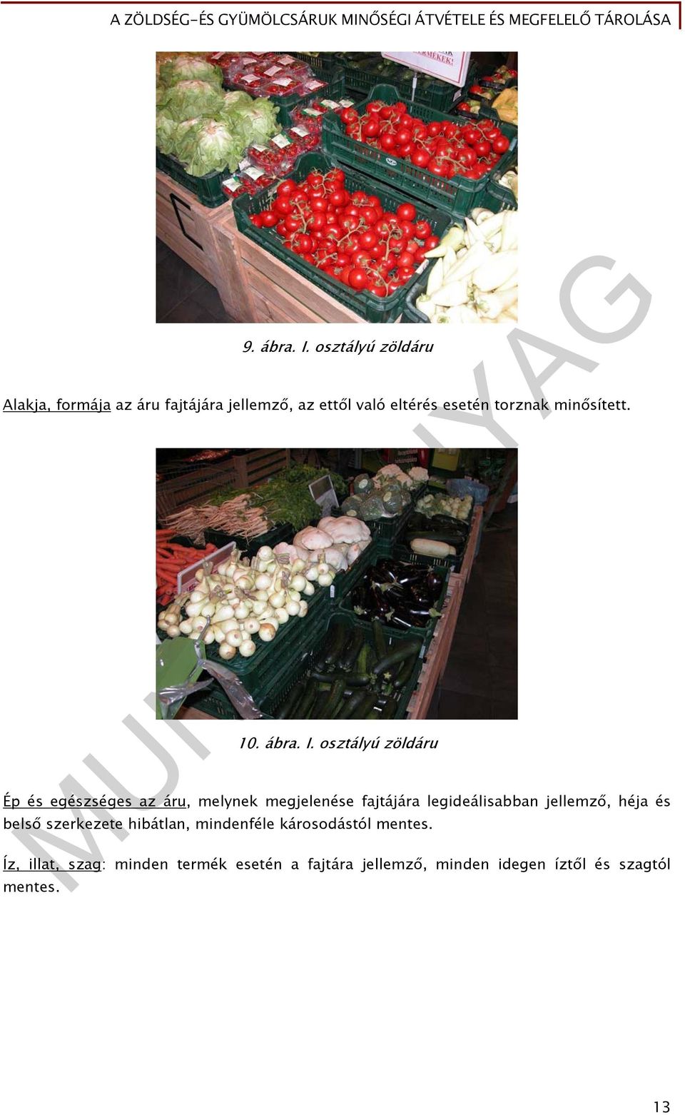 MUNKAANYAG. Boros Csilla Tea. A zöldség-és gyümölcsáruk minőségi átvétele  és megfelelő tárolása. A követelménymodul megnevezése: - PDF Ingyenes  letöltés