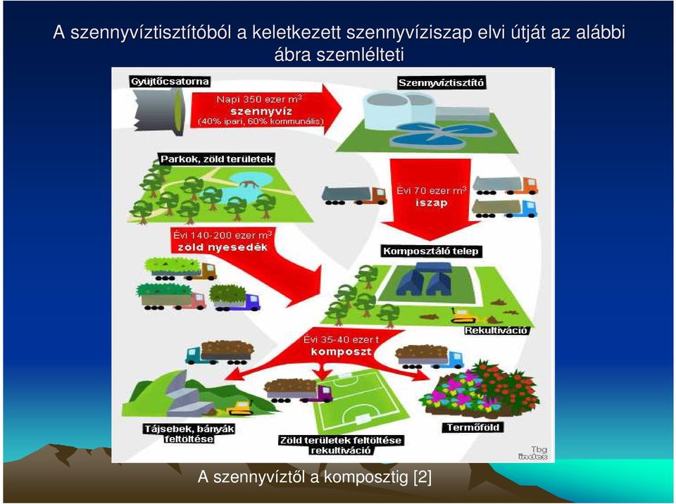 elvi útját t az alábbi ábra