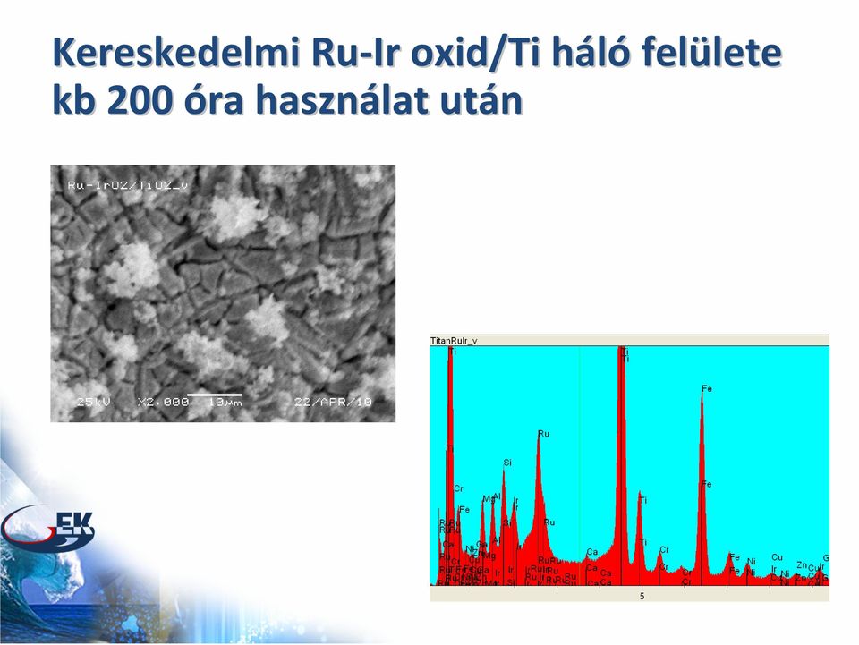 hálóh felülete