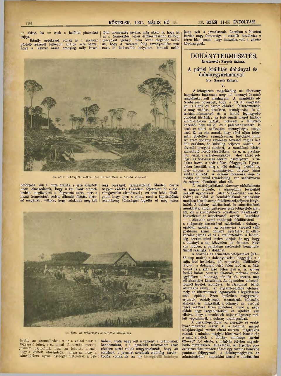 világos, hogy valakinek meg kell 49 KÖZTELEK, 1901. MÁJUS HÓ22, "40. SZÁM 11-Hí ÉVFOLYAM.