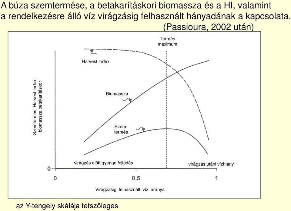 (Passioura, 2002 után) Termés maximum Harvest Index Szemtermés, Harvest Index, biomassza