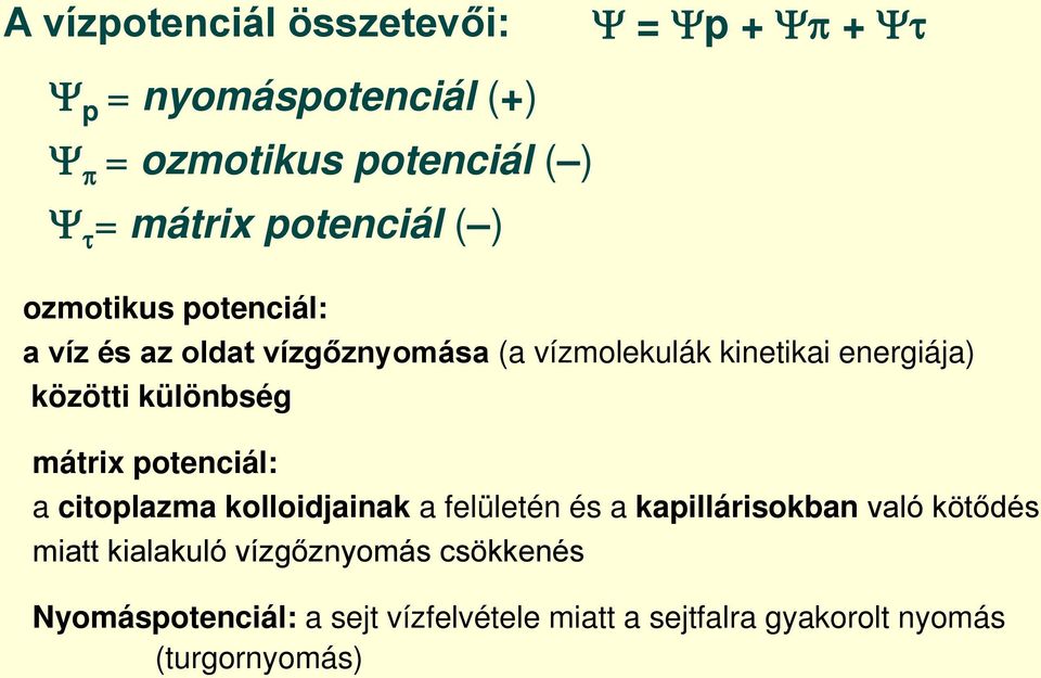 különbség mátrix potenciál: a citoplazma kolloidjainak a felületén és a kapillárisokban való kötődés miatt