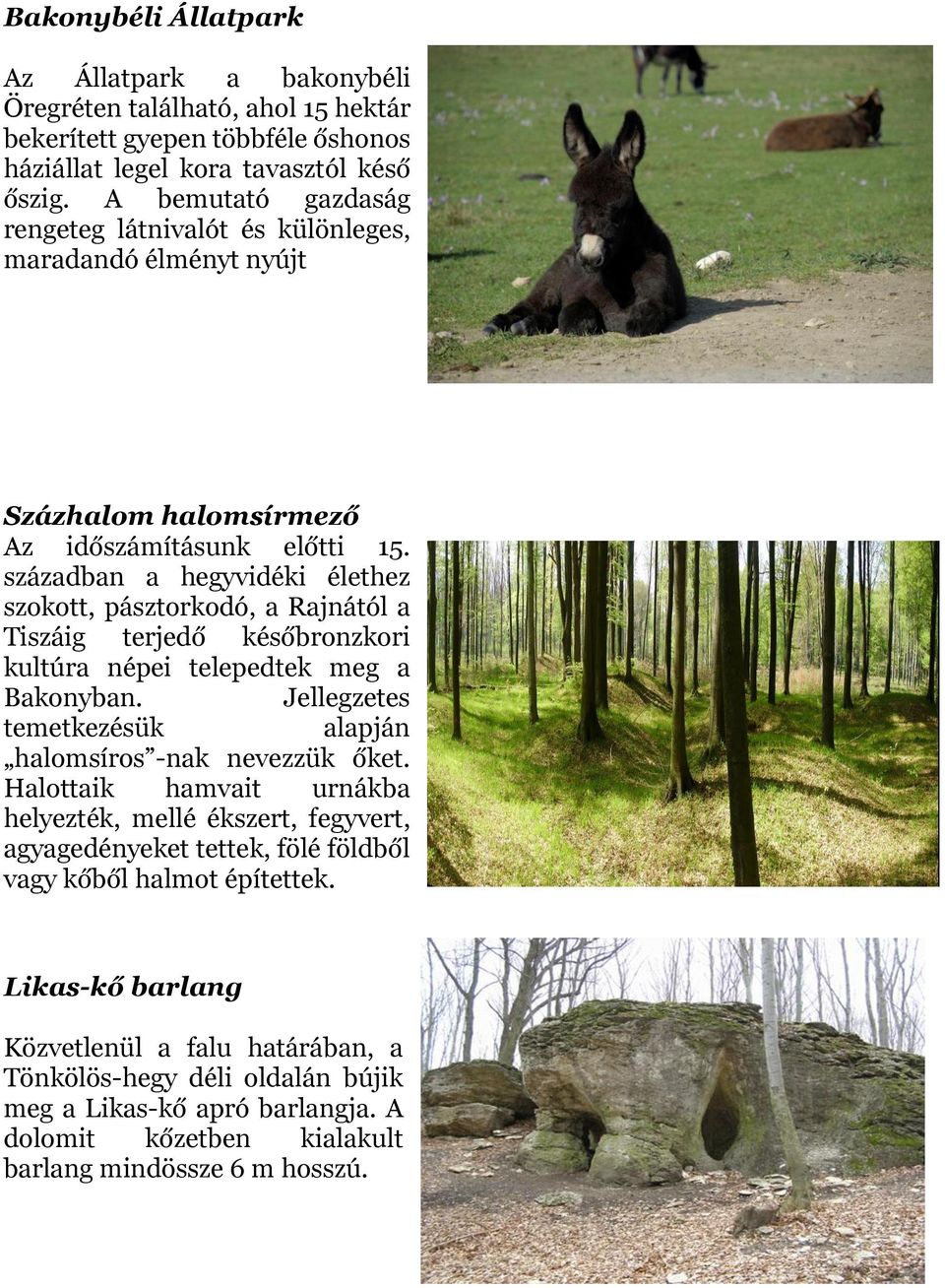 században a hegyvidéki élethez szokott, pásztorkodó, a Rajnától a Tiszáig terjedő későbronzkori kultúra népei telepedtek meg a Bakonyban.