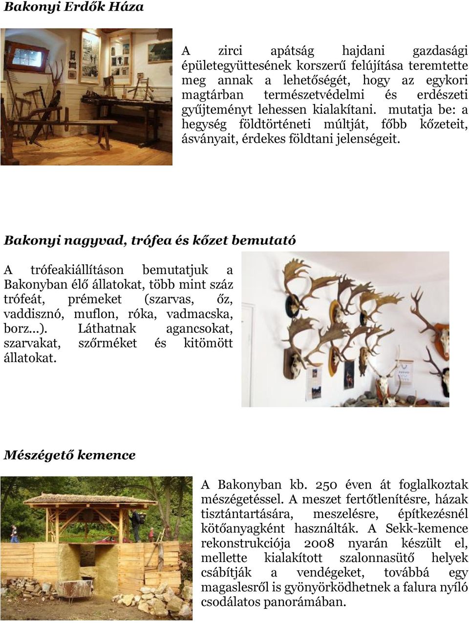 Bakonyi nagyvad, trófea és kőzet bemutató A trófeakiállításon bemutatjuk a Bakonyban élő állatokat, több mint száz trófeát, prémeket (szarvas, őz, vaddisznó, muflon, róka, vadmacska, borz...).