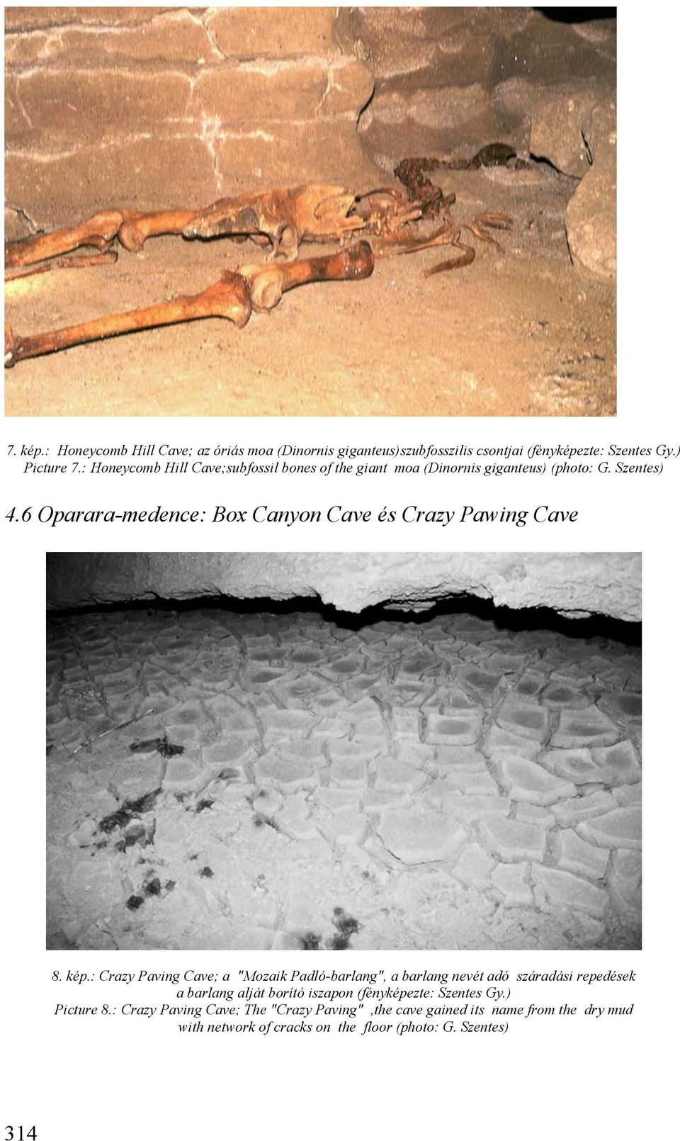 6 Oparara-medence: Box Canyon Cave és Crazy Pawing Cave 8. kép.