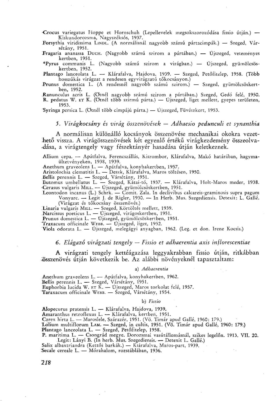 ) Újszeged, gyümölcsöskertben, 1952. Plantago lanceolata L. Klárafalva, Hajdova, 1939. Szeged, Petőfitelep, 1958. (Több hosszúkás virágzat a rendesen egyvirágzatú tőkocsányon.) Prunus domestica L.