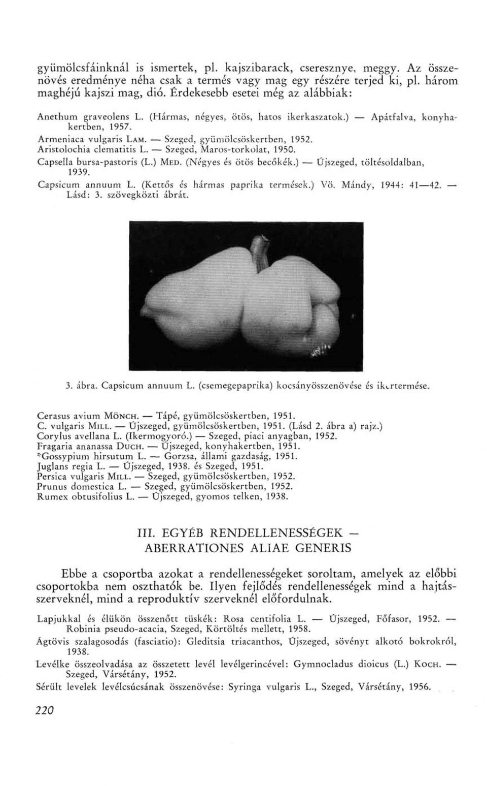 Aristolochia clematitis L. Szeged, Maros-torkolat, 1950. Capsella bursa-pastoris (L.) MED. (Négyes és ötös becőkék.) Újszeged, töltésoldalban, 1939. Capsicum annuum L.