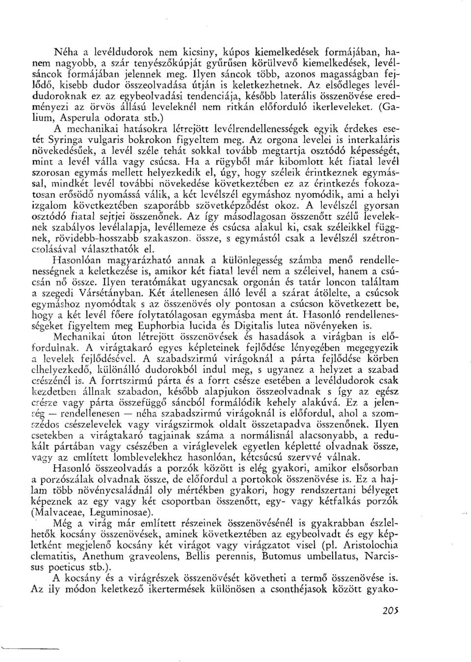 Az elsődleges levéldudoroknak ez az egybeolvadási tendenciája, később laterális összenövése eredményezi az örvös állású leveleknél nem ritkán előforduló ikerleveleket. (Galium, Asperula odorata stb.