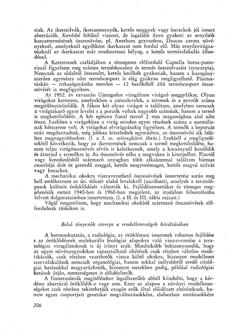 A Keresztesek családjában a tömegesen előforduló Capsella bursa-pastorisnál figyeltem meg számos terméskocsány és termés összeolvasást (syncarpia).