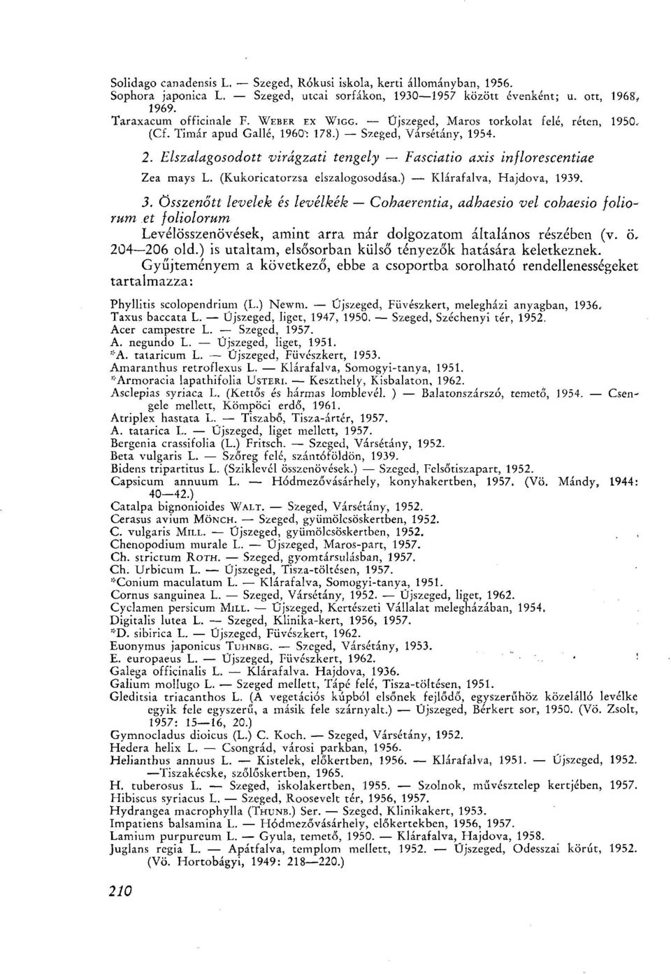 (Kukoricatorzsa elszalogosodása.) Klárafalva, Hajdova, 1939. 3.