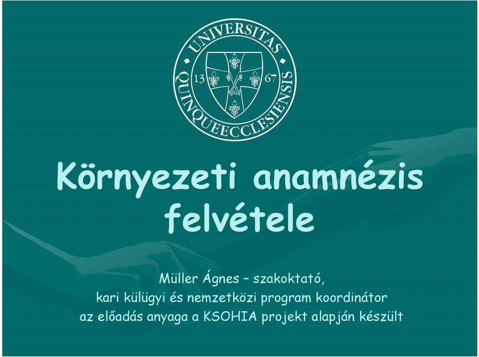 nemzetközi program koordinátor az