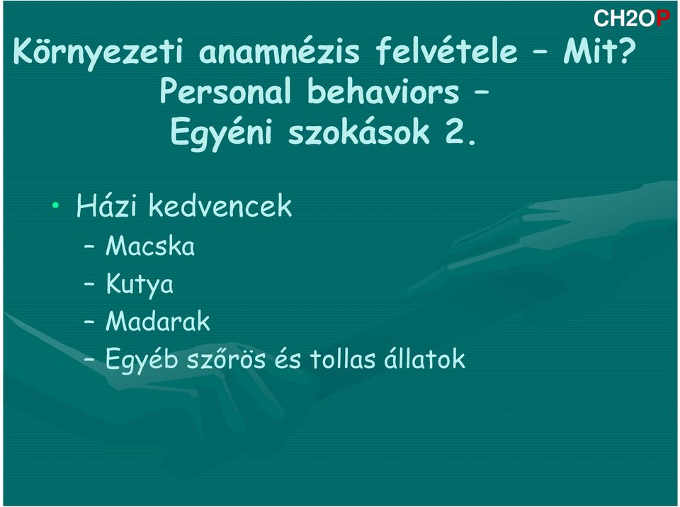 szokások 2.