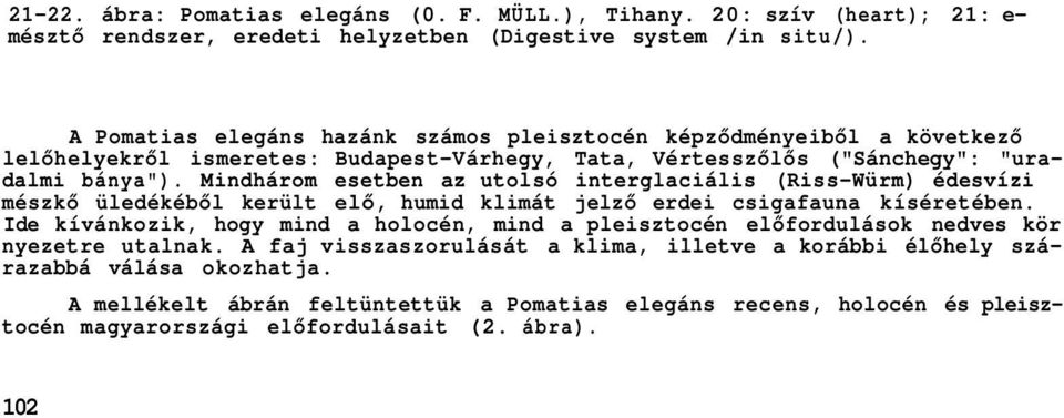 Mindhárom esetben az utolsó interglaciális (Riss-Würm) édesvízi mészkő üledékéből került elő, humid klimát jelző erdei csigafauna kíséretében.