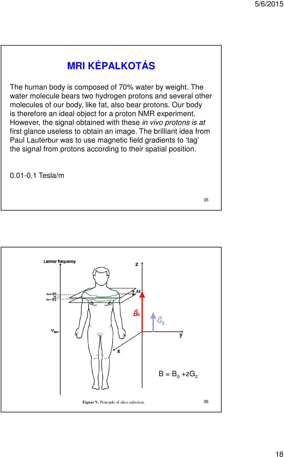 Our body is therefore an ideal object for a proton NMR experiment.