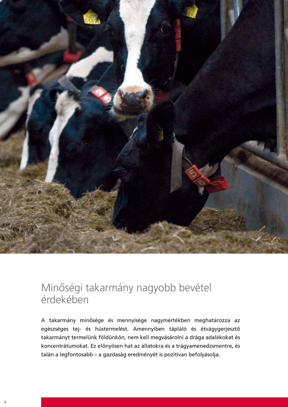Amennyiben tápláló és étvágygerjesztő takarmányt termelünk földünkön, nem kell megvásárolni a drága