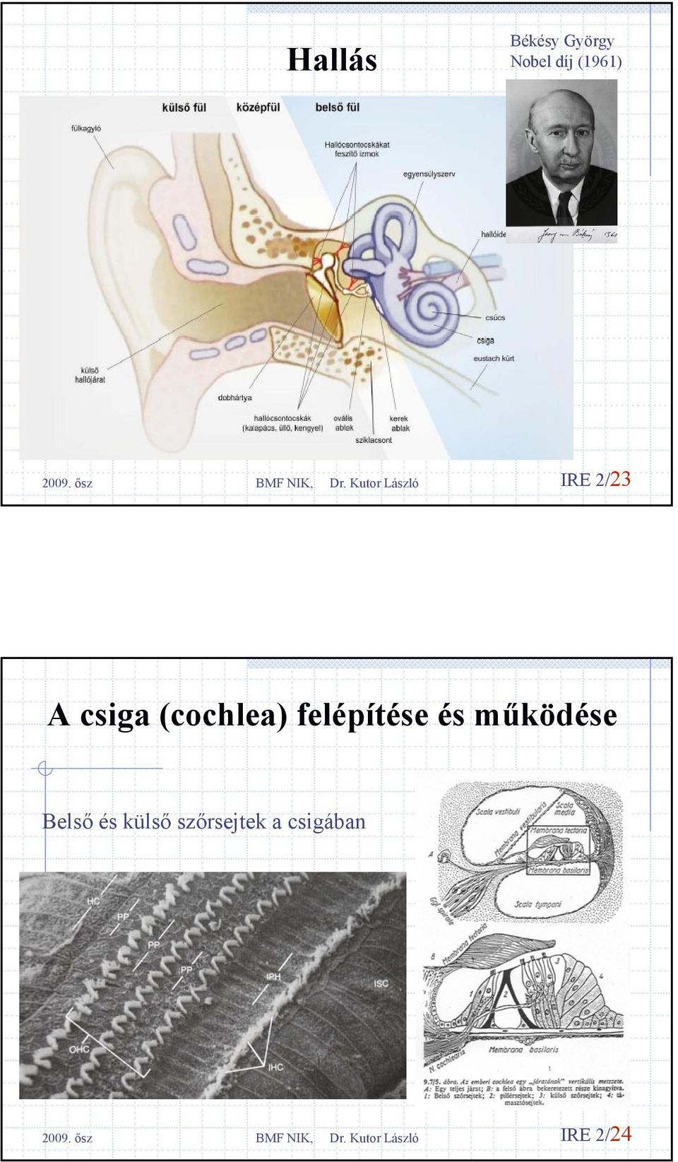 felépítése és működése Belső és