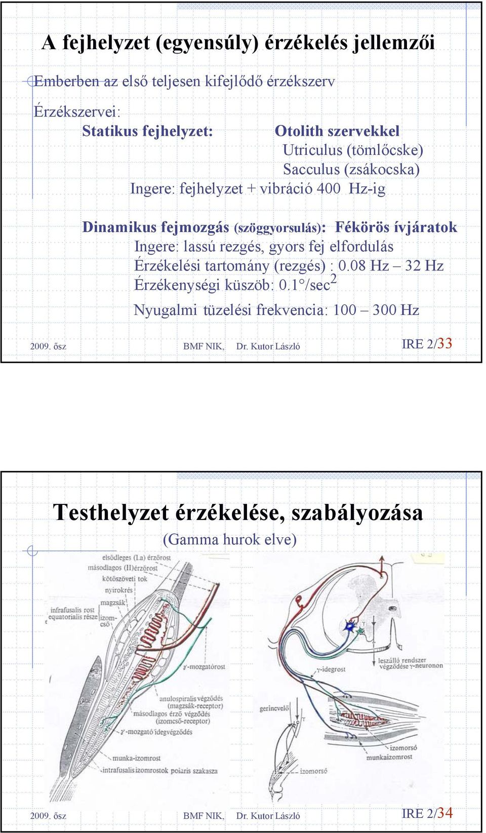 (szöggyorsulás): Fékörös ívjáratok Ingere: lassú rezgés, gyors fej elfordulás Érzékelési tartomány (rezgés) : 0.