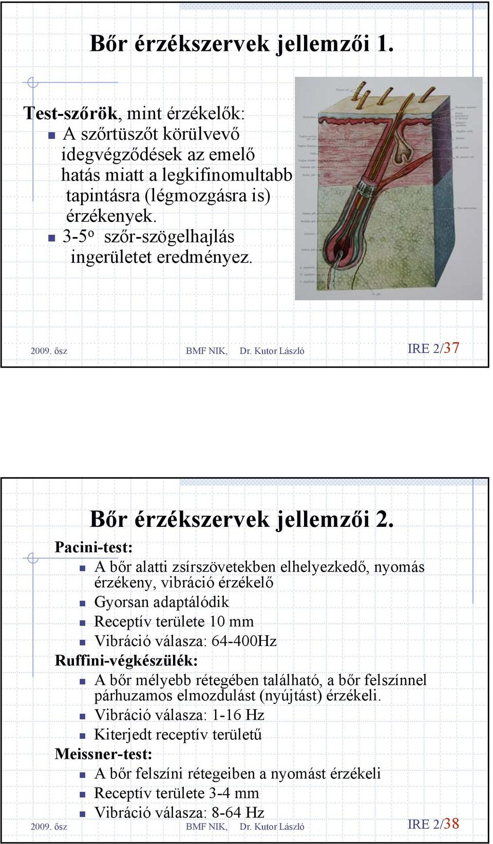 Pacini-test: A bőr alatti zsírszövetekben elhelyezkedő, nyomás érzékeny, vibráció érzékelő Gyorsan adaptálódik Receptív területe 10 mm Vibráció válasza: 64-400Hz