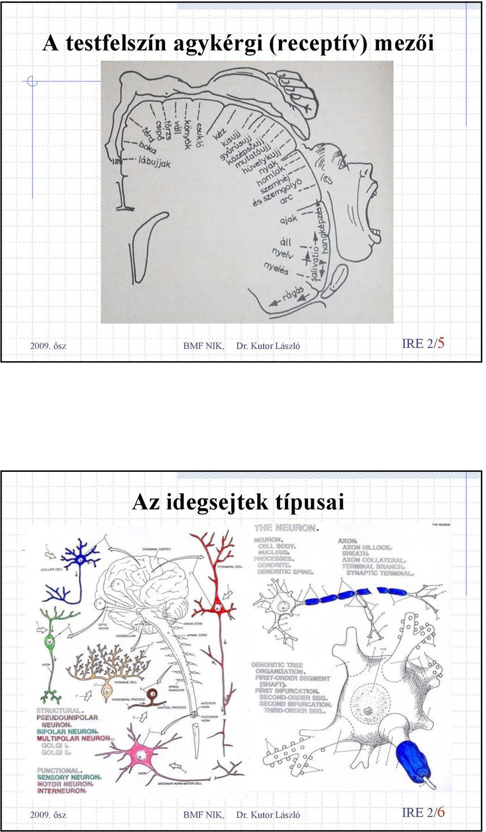 mezői IRE 2/5 Az