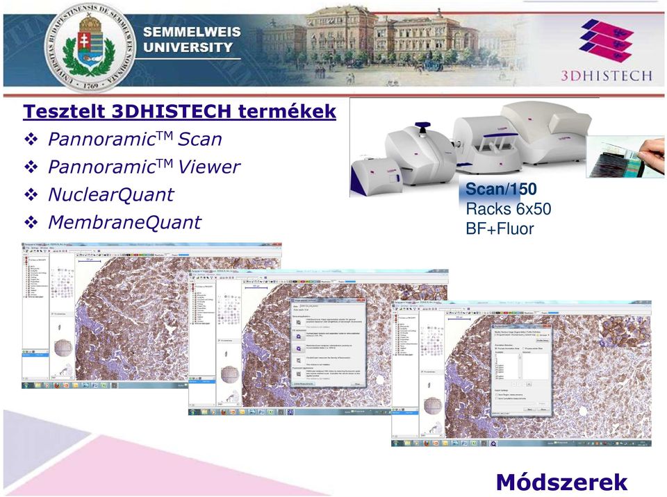 Viewer NuclearQuant MembraneQuant