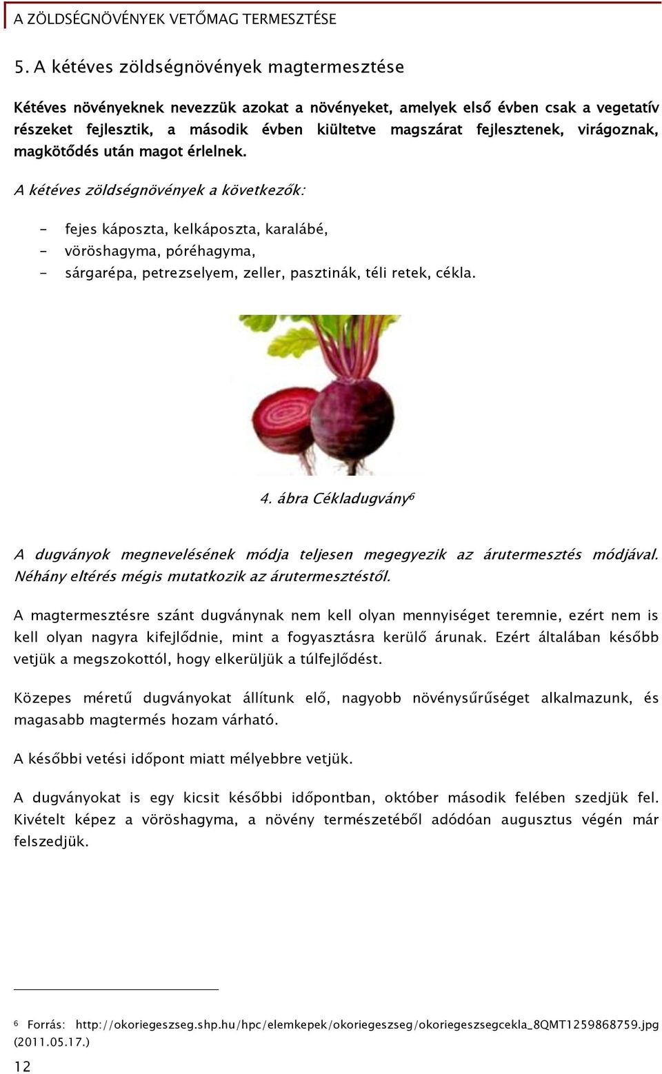 A kétéves zöldségnövények a következők: - fejes káposzta, kelkáposzta, karalábé, - vöröshagyma, póréhagyma, - sárgarépa, petrezselyem, zeller, pasztinák, téli retek, cékla. 4.