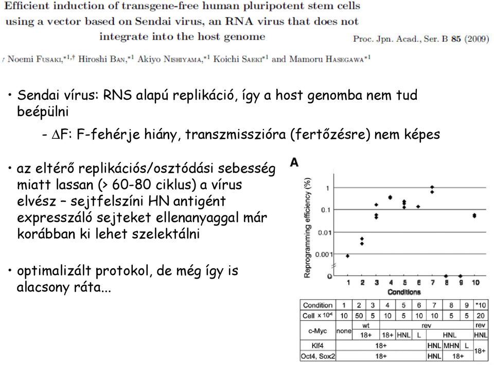 miatt lassan (> 60-80 ciklus) a vírus elvész sejtfelszíni HN antigént expresszáló sejteket