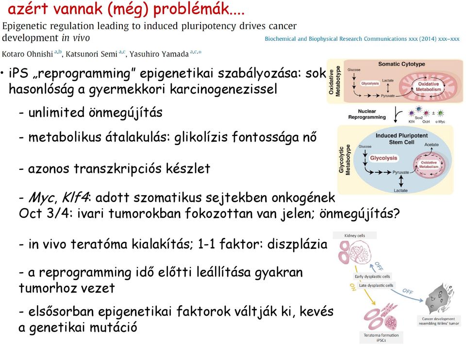 átalakulás: glikolízis fontossága nő - azonos transzkripciós készlet - Myc, Klf4: adott szomatikus sejtekben onkogének Oct 3/4: