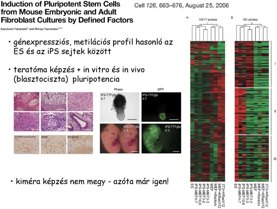 in vitro és in vivo (blasztociszta)