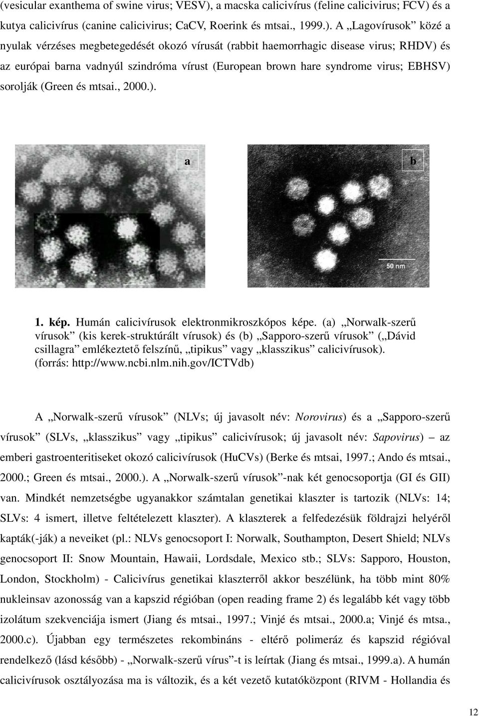és a kutya calicivírus (canine calicivirus; CaCV, Roerink és mtsai., 1999.).