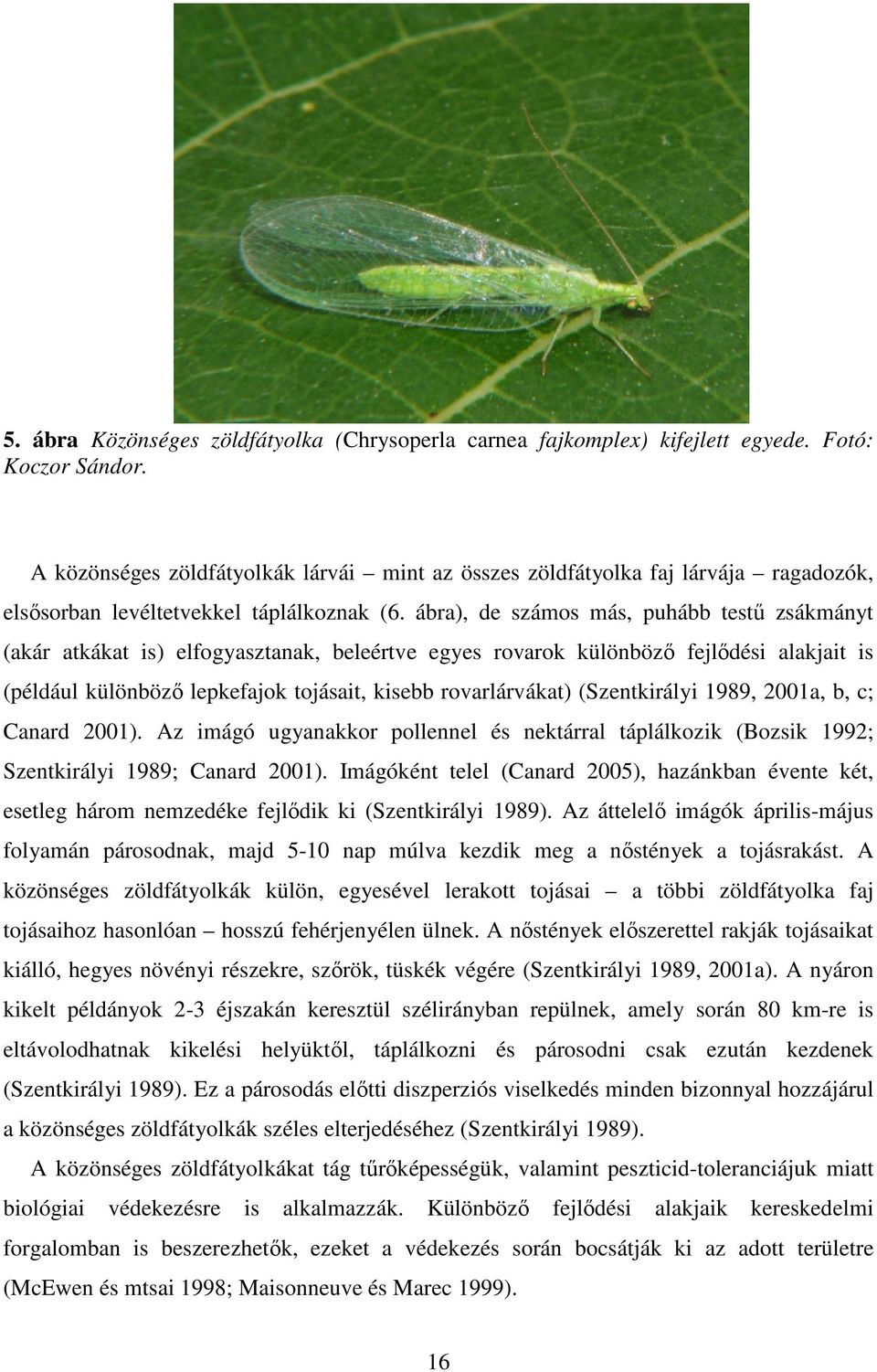 ábra), de számos más, puhább testű zsákmányt (akár atkákat is) elfogyasztanak, beleértve egyes rovarok különböző fejlődési alakjait is (például különböző lepkefajok tojásait, kisebb rovarlárvákat)