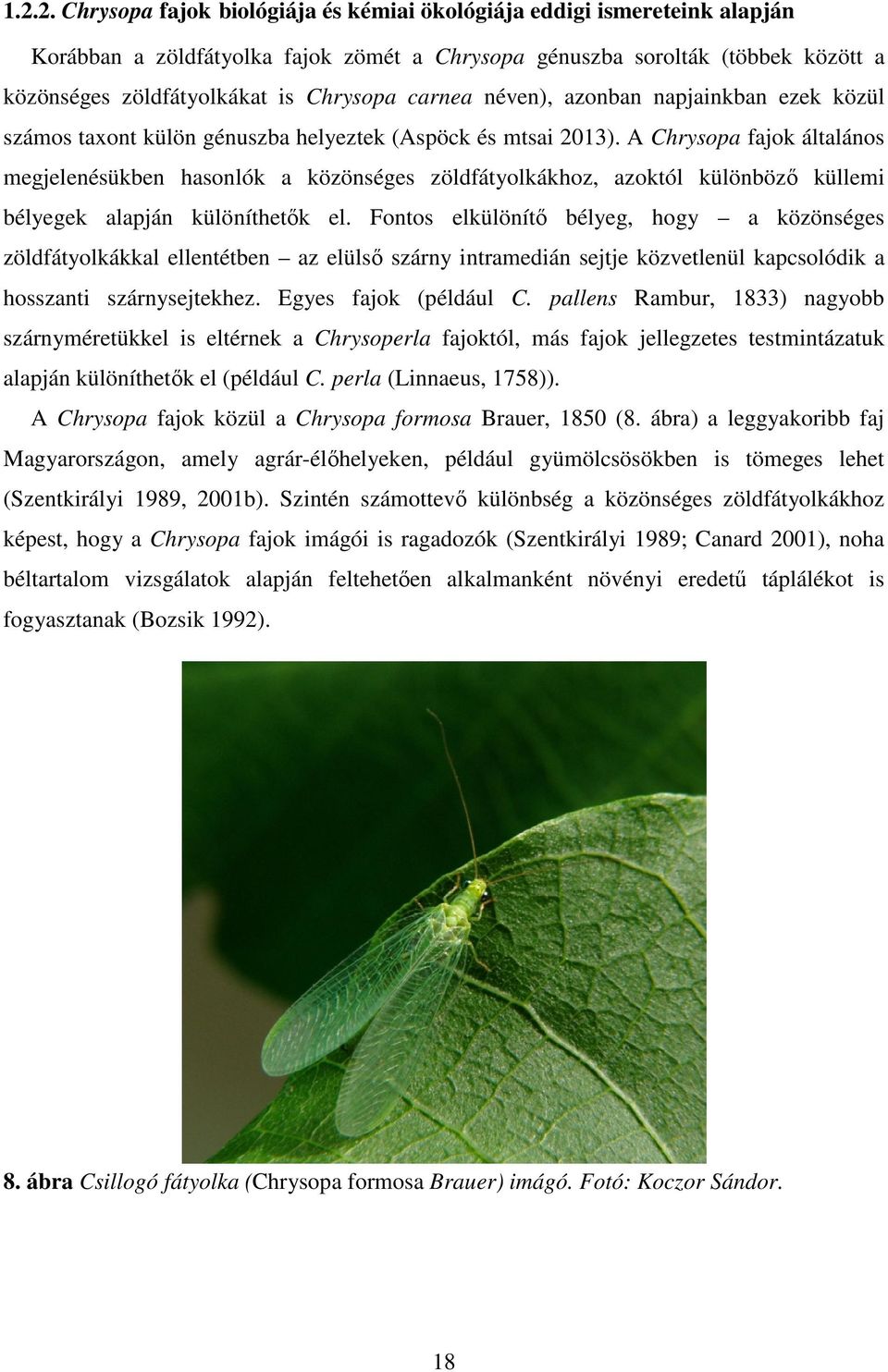 A Chrysopa fajok általános megjelenésükben hasonlók a közönséges zöldfátyolkákhoz, azoktól különböző küllemi bélyegek alapján különíthetők el.