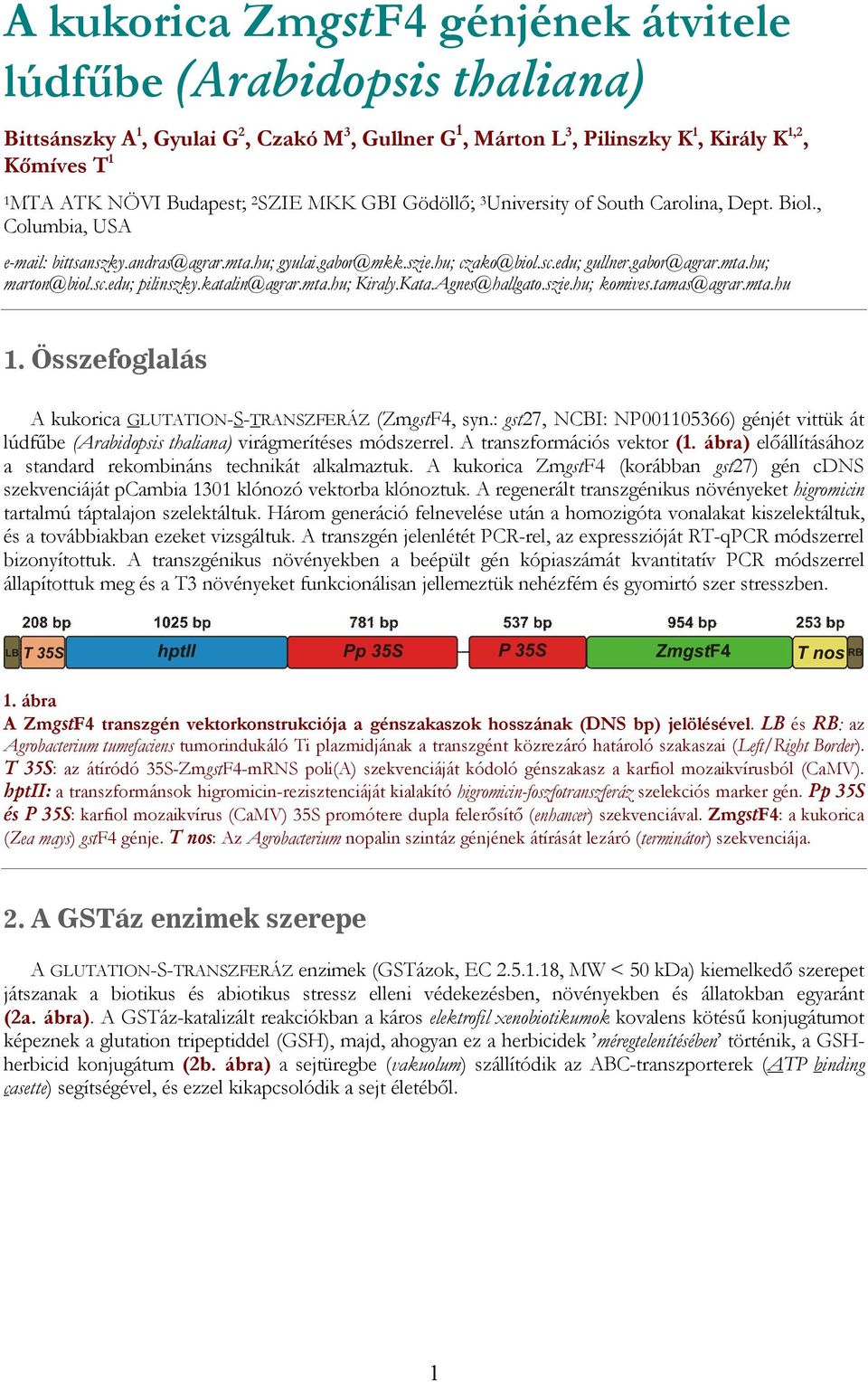 ata.gnes@hallgato.szie.hu; komives.tamas@agrar.mta.hu 1. Összefoglalás kukorica UO--ZÁZ (Zmgst4, syn.: gst27, B: 001105366) génjét vittük át lúdfűbe (rabidopsis thaliana) virágmerítéses módszerrel.
