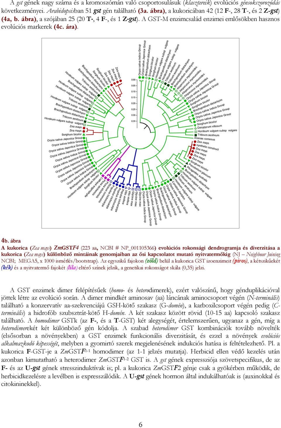 ordeum vulgare subsp vulgare ordeum vulgare subsp vulgare ordeum vulgare subsp vulgare riticum aestivum riticum aestivum ordeum vulgare subsp vulgare orghum bicolor Oryza sativa Japonica roup Oryza