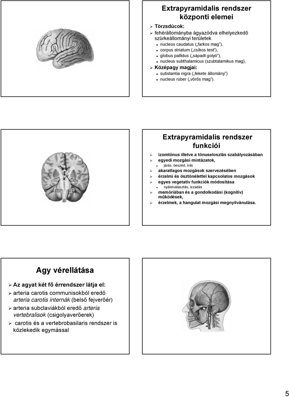 Extrapyramidalis rendszer funkciói izomtónus illetve a tónuseloszlt nuseloszlás s szabályoz lyozásában egyedi mozgási mintázatok, járás, beszéd, írás akaratlagos mozgások szervezésében érzelmi és