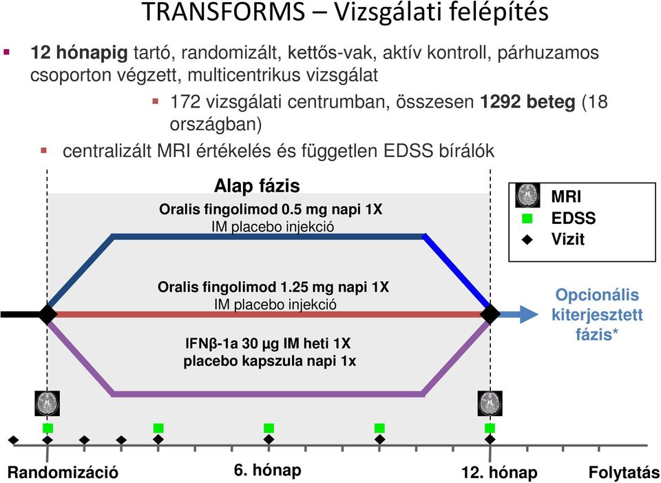 EDSS bírálók Alap fázis Oralis fingolimod 0.5 mg napi 1X IM placebo injekció MRI EDSS Vizit Oralis fingolimod 1.