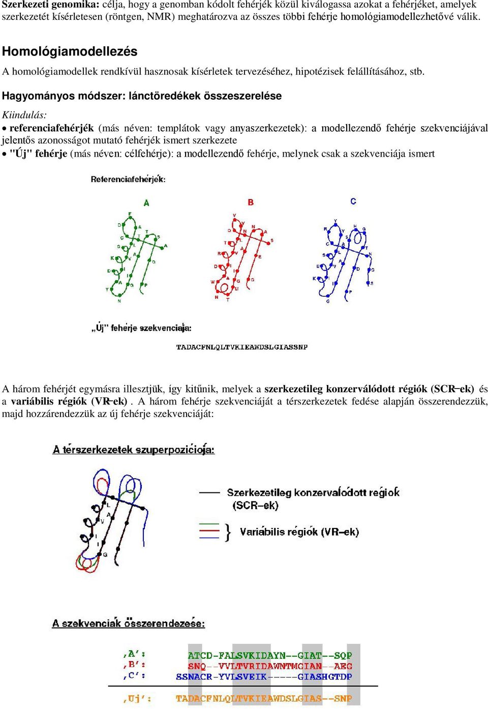 Hagyományos módszer: lánctöredékek összeszerelése Kiindulás: referenciafehérjék (más néven: templátok vagy anyaszerkezetek): a modellezendő fehérje szekvenciájával jelentős azonosságot mutató