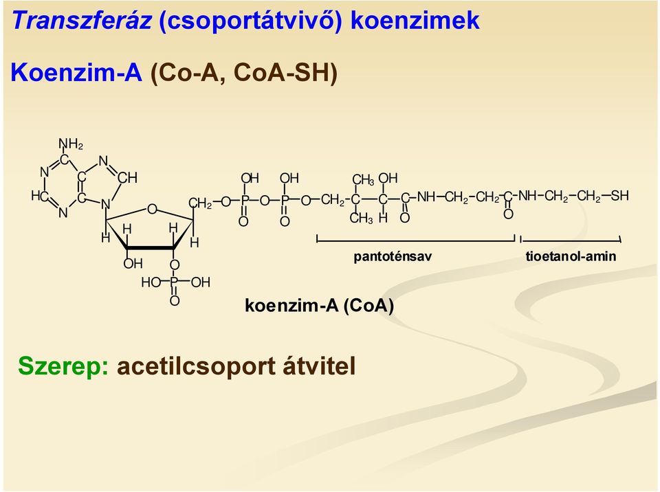 2 C C C N C 2 C 3 pantoténsav koenzim-a (CoA) C 2 C