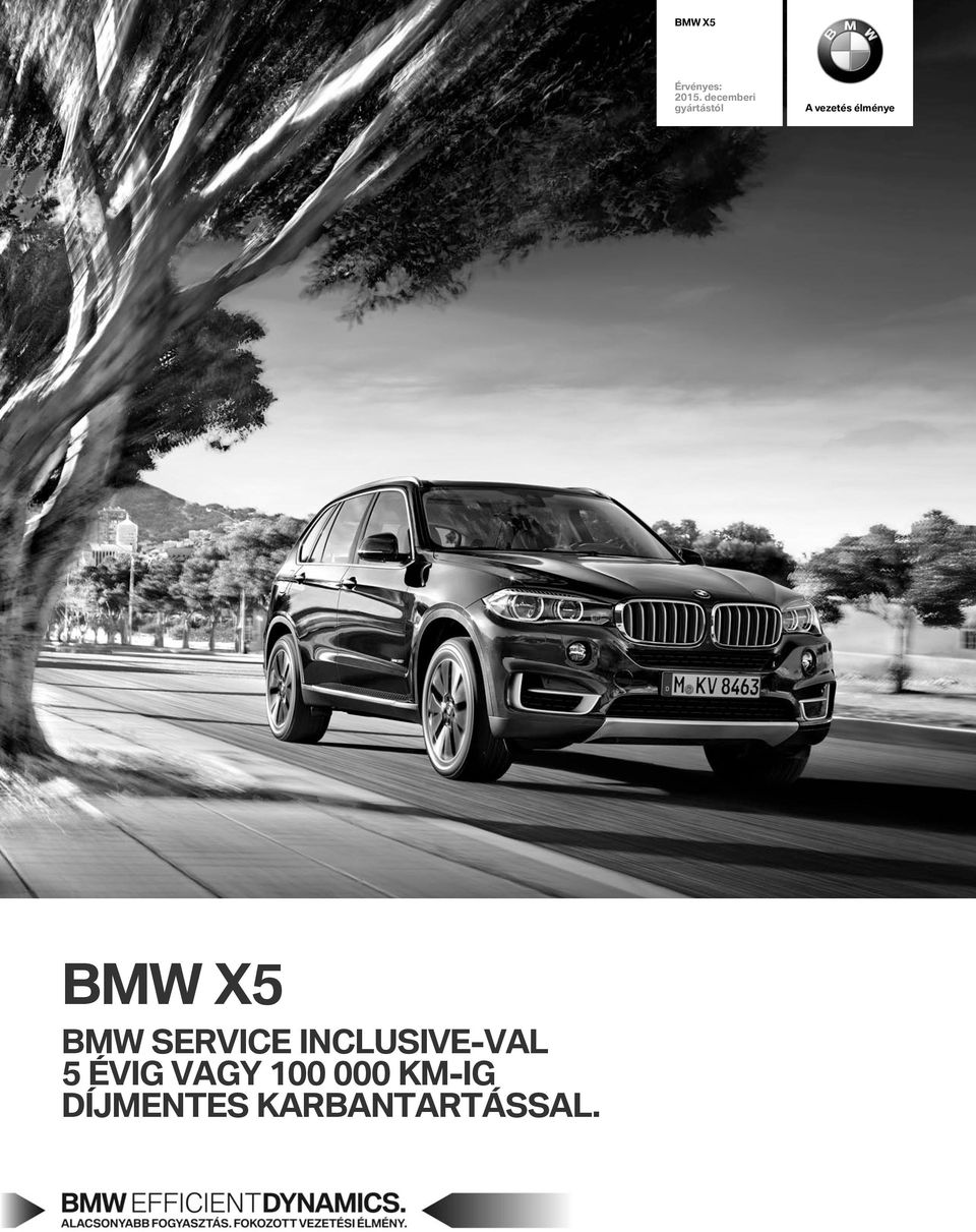 élménye BMW X5 BMW SERVICE