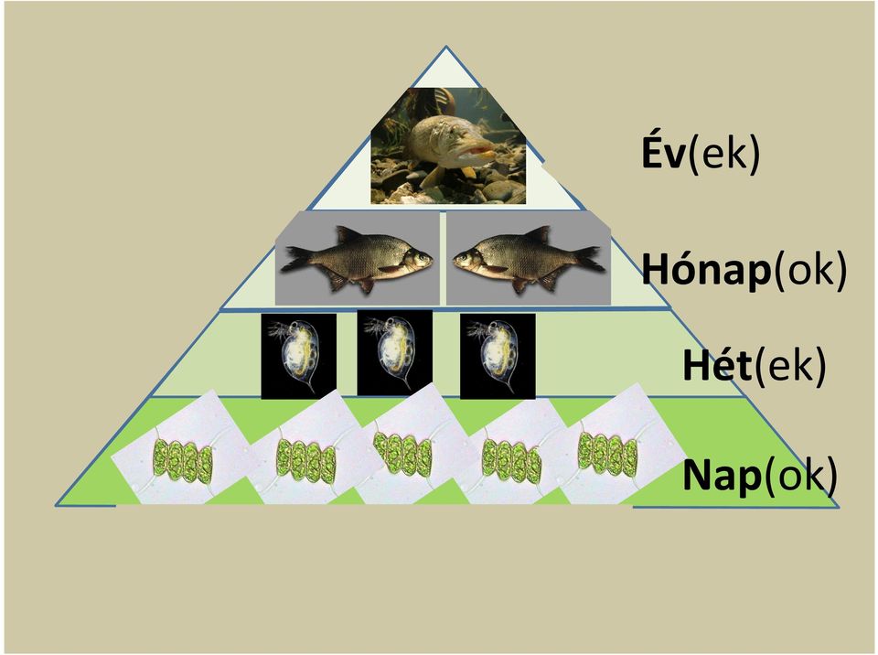 Hét(ek)